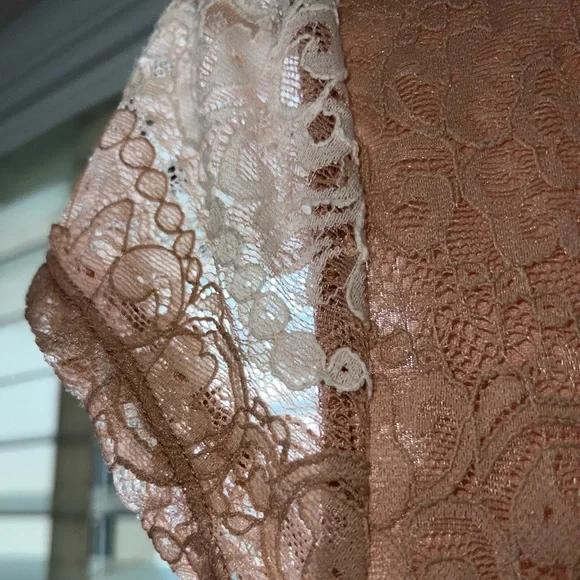 Sharagano lace light pink and white lined lace dress Size4 - Picture 5 of 8